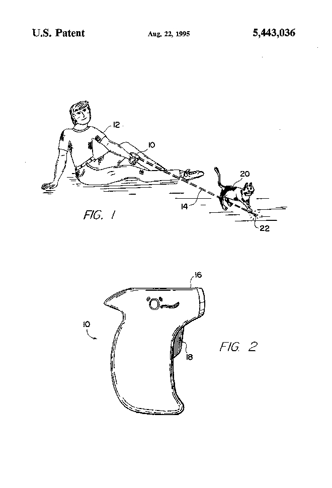 Cat patent illustration – US5443036-1