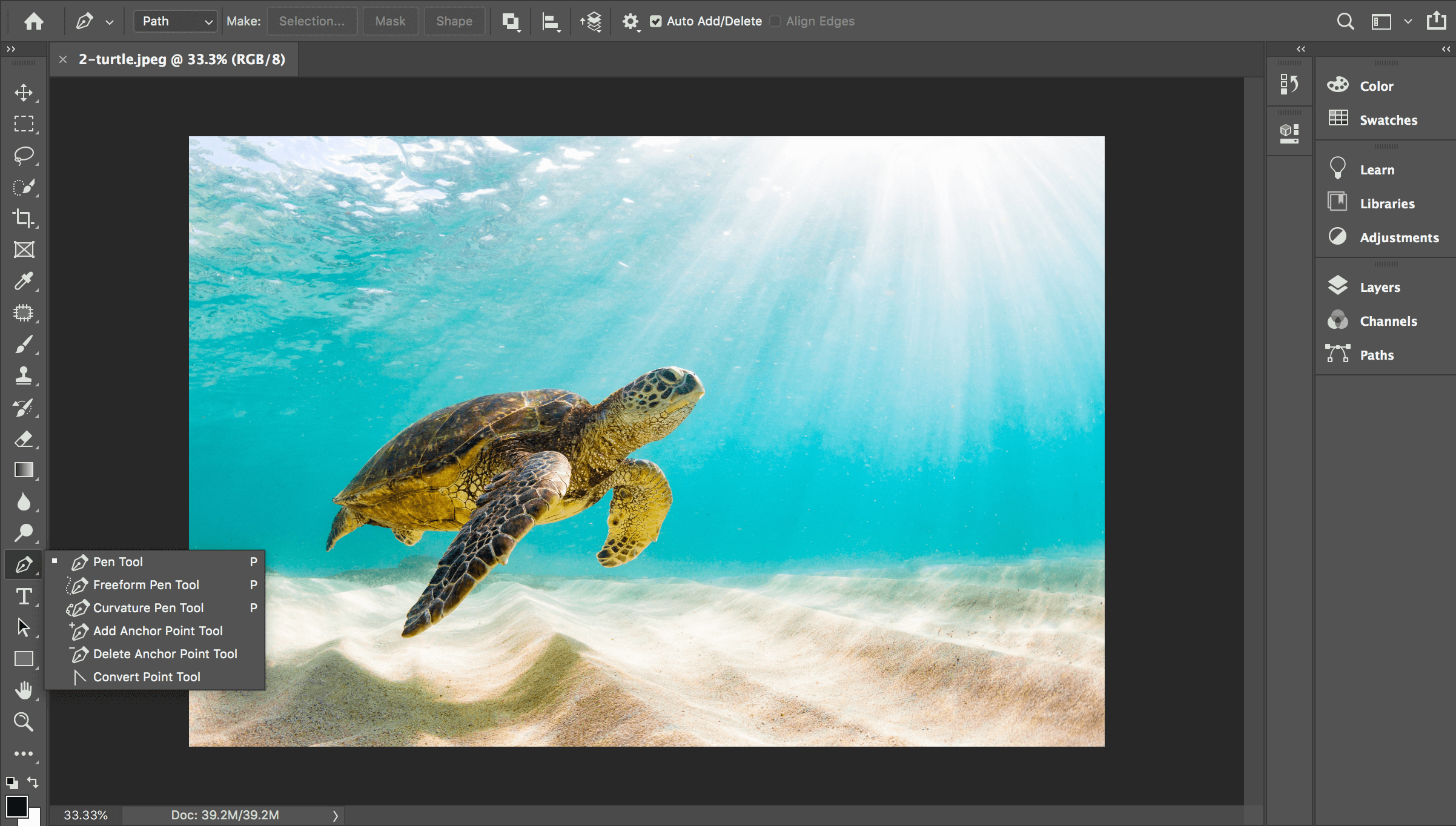 pen tool photoshop