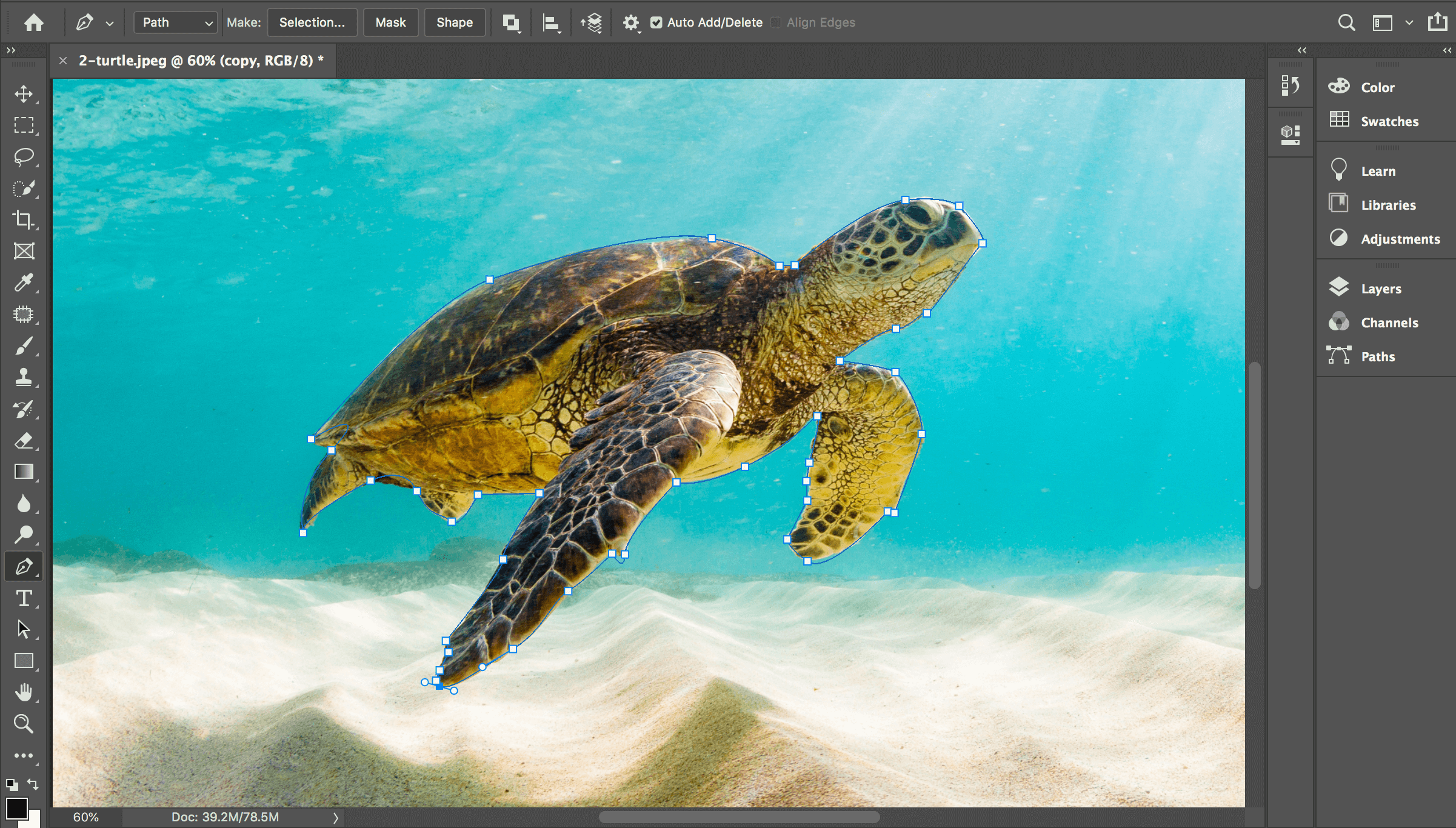 pen tool outline photoshop